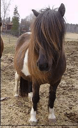 ** PLEASE DESCRIBE THIS IMAGE **